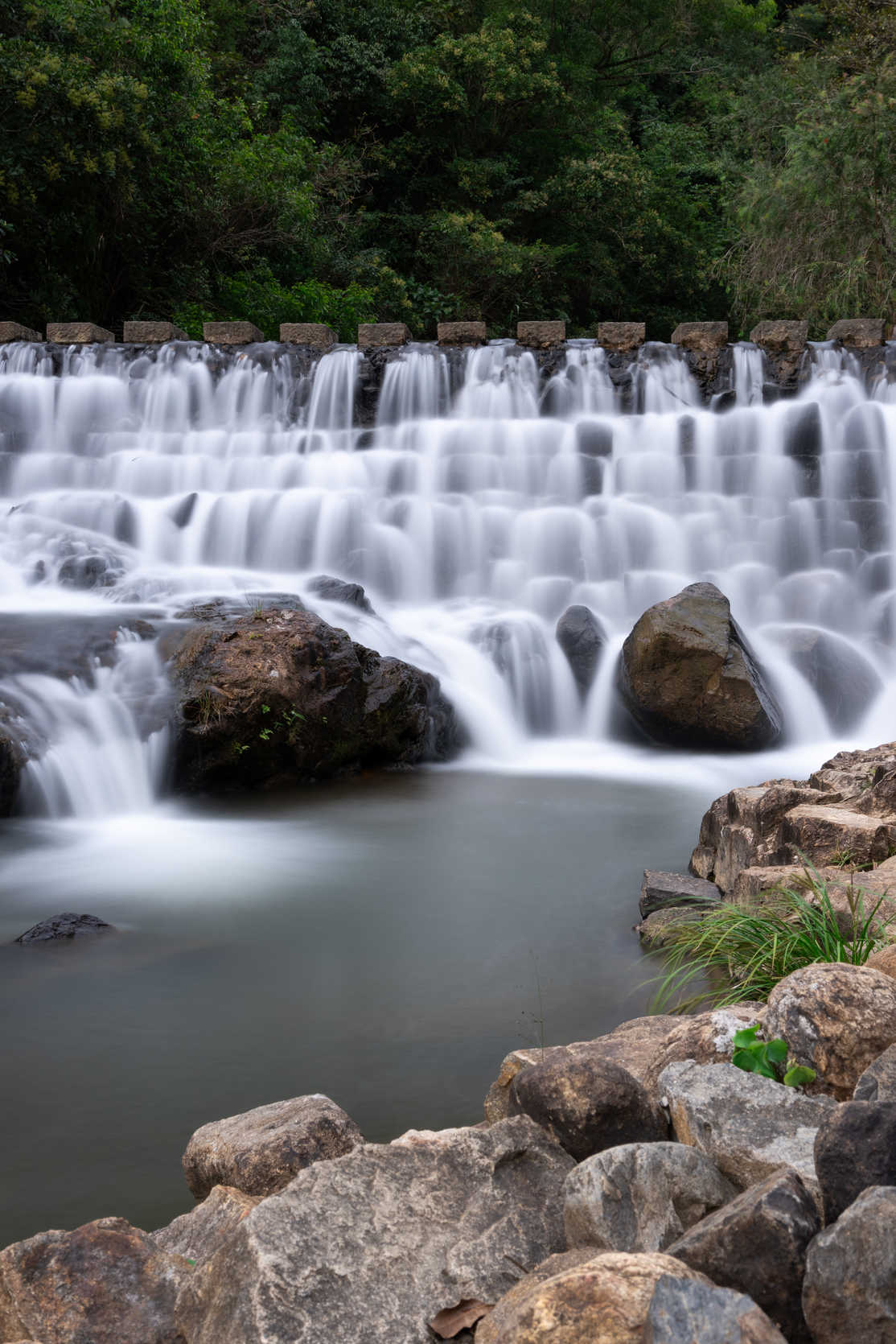 自然系列 DSC_8685